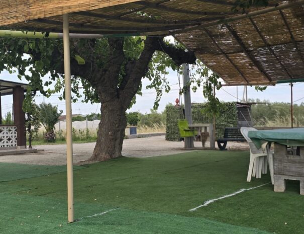 Area Relax 2