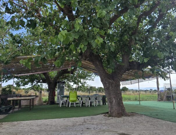 Area Relax