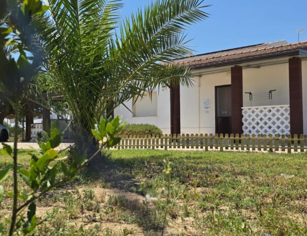 Esterno